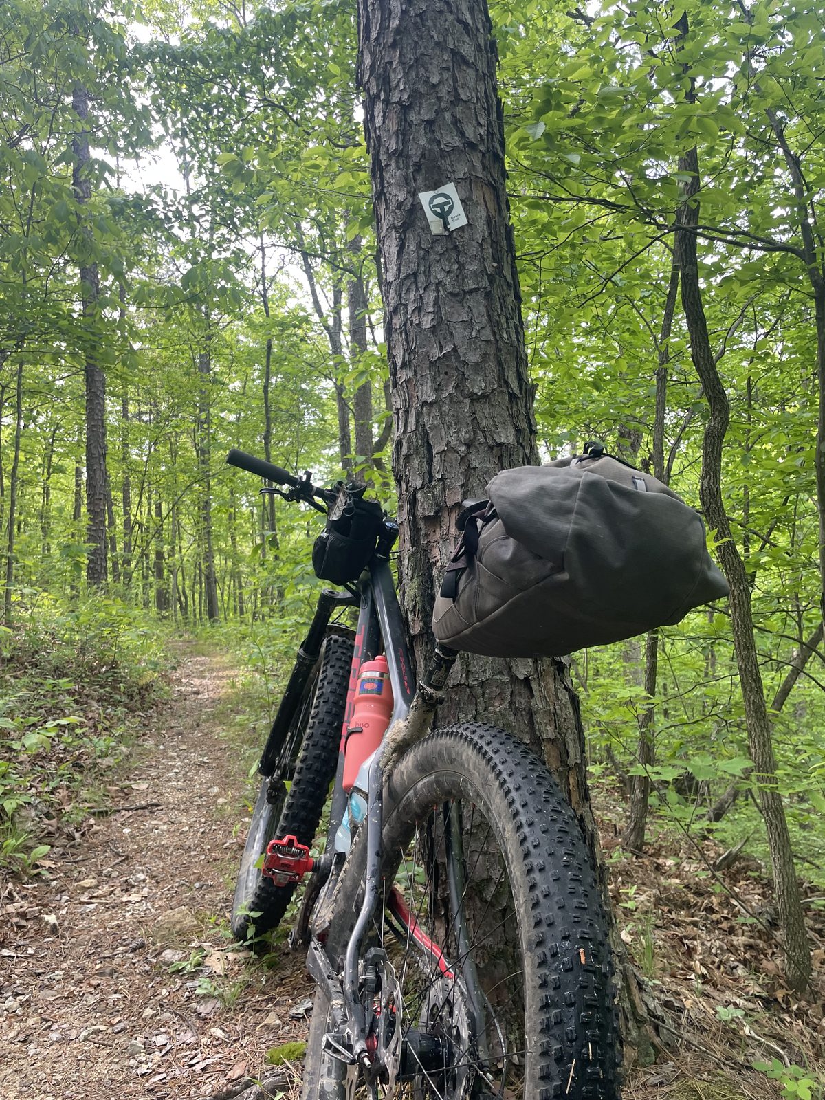 A dialed-in bike out on the trail